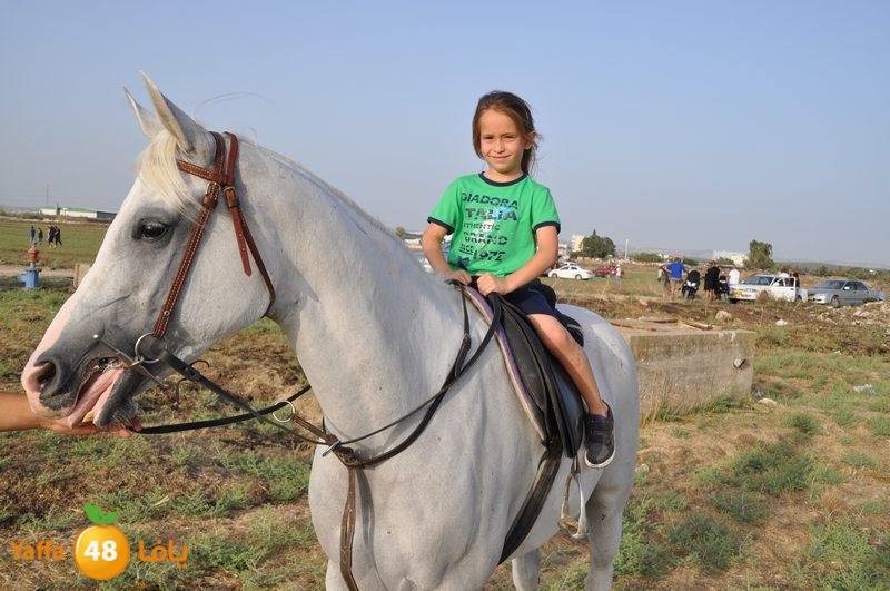 kheil sebaq (30).JPG